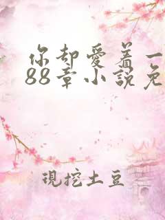 你却爱着一个他88章小说免费阅读