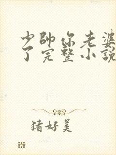 少帅你老婆又跑了完整小说