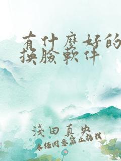 有什么好的ai换脸软件