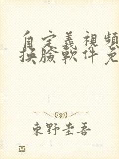 自定义视频ai换脸软件免费