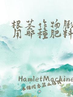 根茎作物膨大期用哪种肥料好