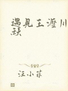 遇见王沥川谢小秋