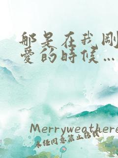 那是在我刚刚懂爱的时候…什么歌