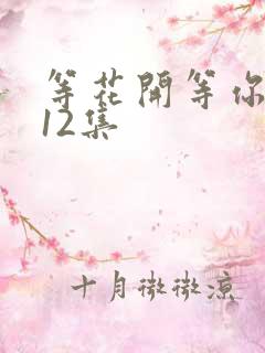 等花开等你归第12集