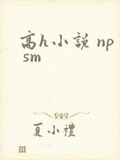 高h小说 np sm 高h小说 np sm