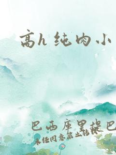 高h 纯肉小说
