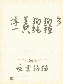 博美狗狗多少钱一只纯种