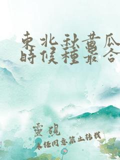 东北秋黄瓜什么时候种最合适 东北秋黄瓜什么时候种最合适