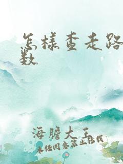 怎样查走路的步数