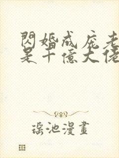 闪婚成庞老公竞是千亿大佬