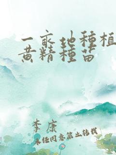 一亩地种植多少黄精种苗