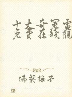 十大奇冤电视剧免费在线观看 十大奇冤电视剧免费在线观看