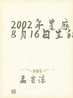2002年农历8月16日生的人八字命运如何