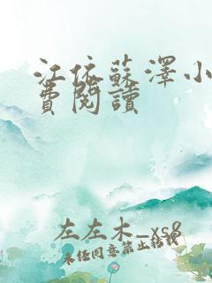 江依苏泽小说免费阅读