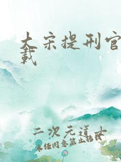 大宋提刑官2下载