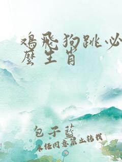 鸡飞狗跳必开什么生肖 鸡飞狗跳必开什么生肖