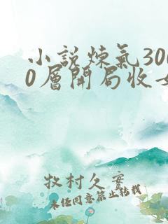 小说炼气3000层开局收女帝为徒整版全文下载