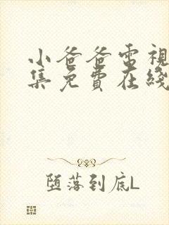 小爸爸电视剧全集免费在线观看完整版