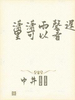 潇潇雨声迟在哪里可以看
