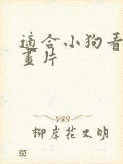 适合小狗看的动画片