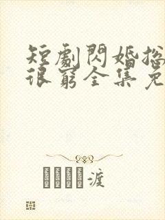 短剧闪婚总裁都很穷全集免费观看