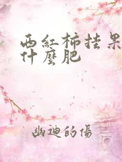 西红柿挂果期施什么肥