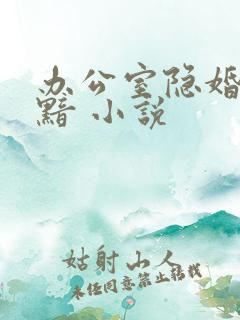 办公室隐婚 轻黯 小说