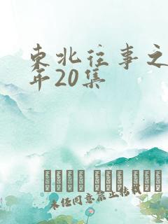 东北往事之二十年20集