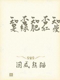 知否知否知否应是绿肥红瘦高清在线观看