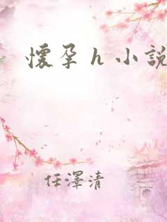 怀孕 h 小说