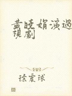 黄晓娟演过的电视剧