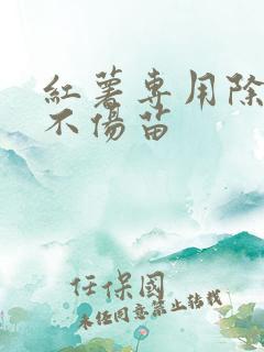 红薯专用除草剂不伤苗