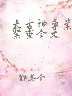 太古神尊叶风叶紫灵全文