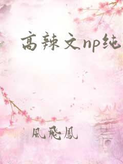 高辣文np纯肉