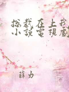 总裁在上我在下小说电视剧
