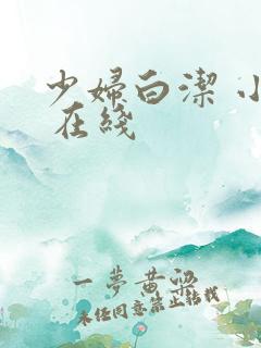 少妇白洁 小说 在线
