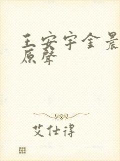 王安宇金晨吻戏原声