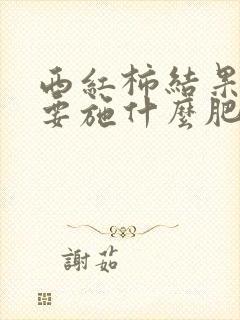 西红柿结果后需要施什么肥料