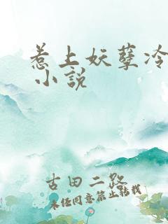 惹上妖孽冷殿下 小说