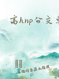 高hnp公交车