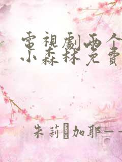 电视剧两个人的小森林免费的