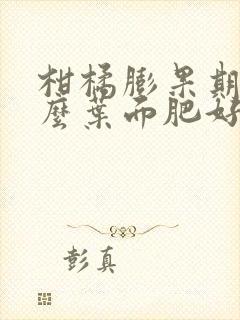 柑橘膨果期用什么叶面肥好