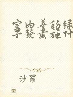 室内养的绿植叶子发黄施什么肥好