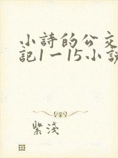 小诗的公交车日记1一15小说 小诗的公交车日记1一15小说