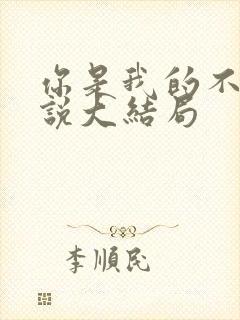 你是我的不可言说大结局