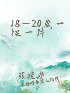 18—20岁一级一片