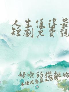 人生值得最清欢短剧免费观看