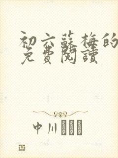 初六苏梅的小说免费阅读