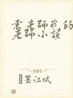 袁老师我的启蒙老师小说
