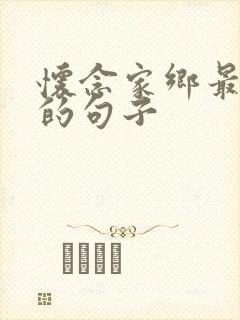 怀念家乡最精辟的句子